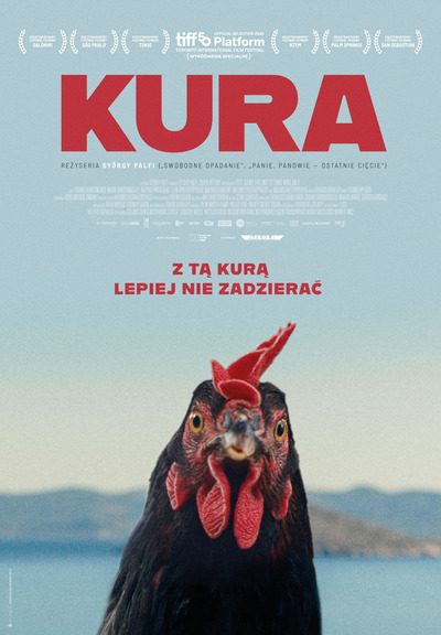 Plakat wydarzenia:  Kura  DKF